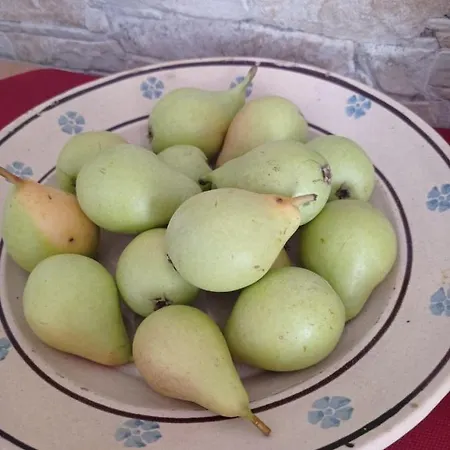 Il Casale Dei Calanchi Aliano