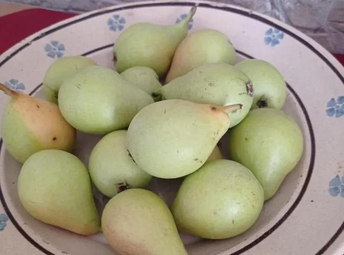 Il Casale Dei Calanchi Aliano